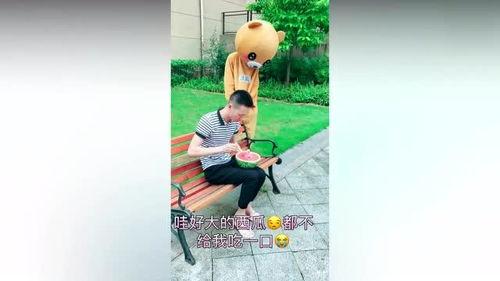 吃瓜小熊网红,揭秘网红背后的故事